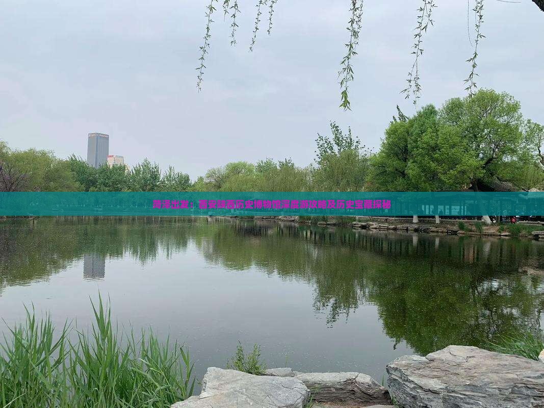 菏泽出发：西安陕西历史博物馆深度游攻略及历史宝藏探秘