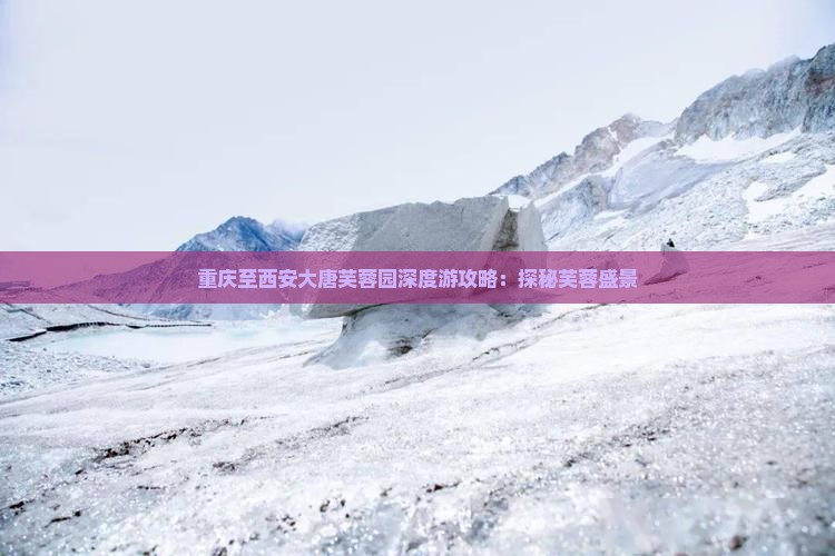 重庆至西安大唐芙蓉园深度游攻略：探秘芙蓉盛景