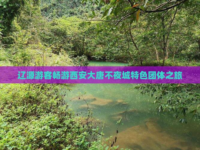 辽源游客畅游西安大唐不夜城特色团体之旅
