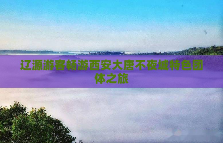 辽源游客畅游西安大唐不夜城特色团体之旅