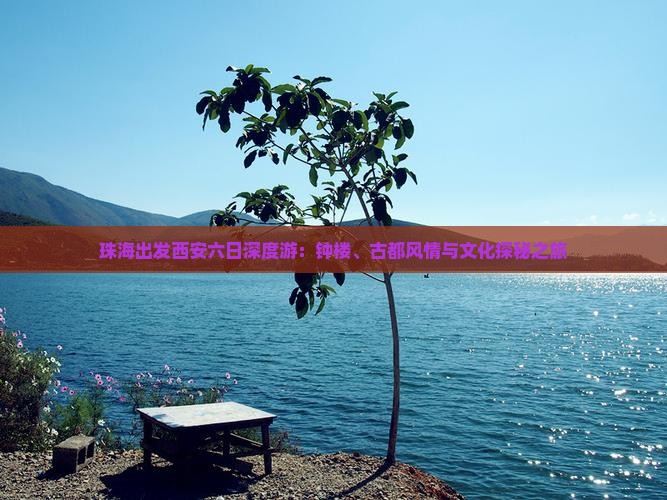 珠海出发西安六日深度游：钟楼、古都风情与文化探秘之旅