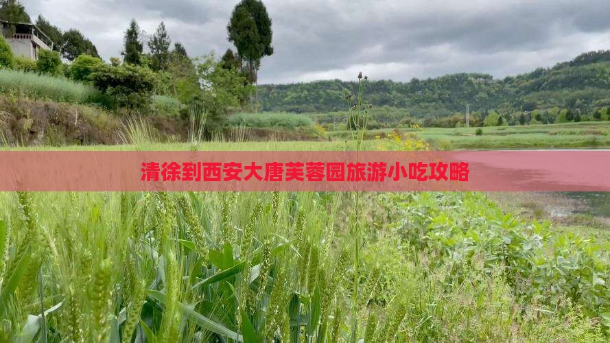 清徐到西安大唐芙蓉园旅游小吃攻略