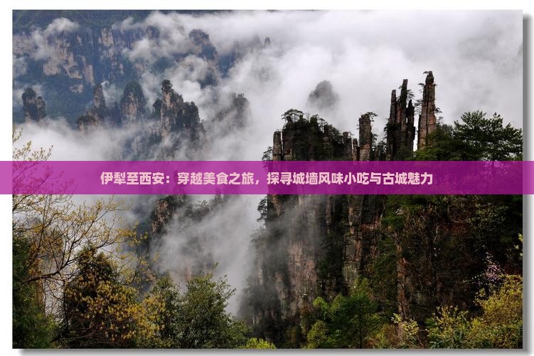 伊犁至西安：穿越美食之旅，探寻城墙风味小吃与古城魅力