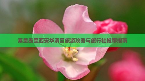 秦皇岛至西安华清宫旅游攻略与旅行社推荐指南