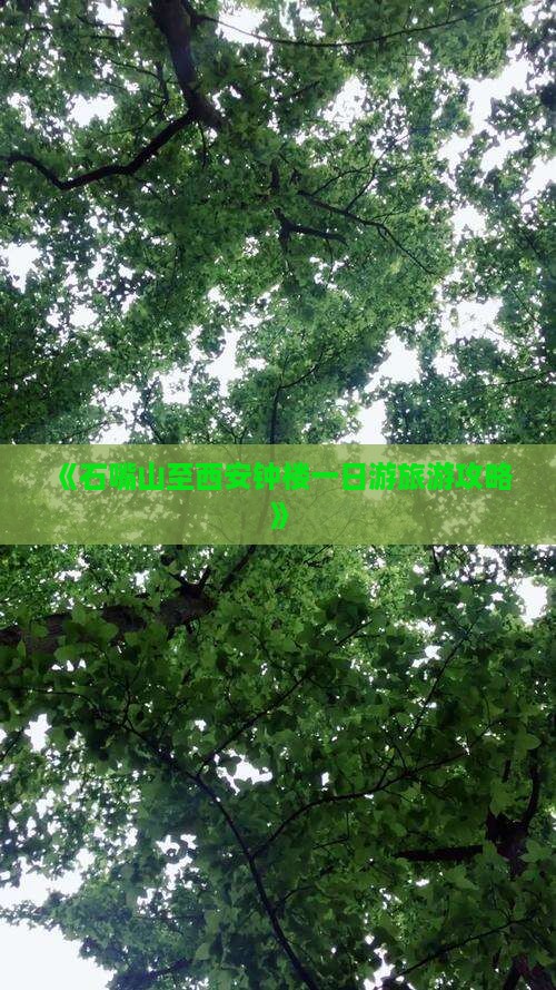 《石嘴山至西安钟楼一日游旅游攻略》