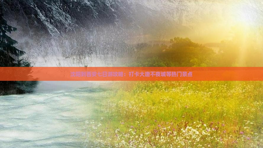 沈阳到西安七日游攻略：打卡大唐不夜城等热门景点