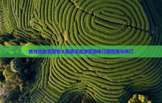 焦作出发至西安大雁塔深度游览团体行程指南与预订