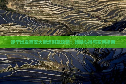 遂宁出发西安大雁塔游玩攻略：旅游心得与实用指南