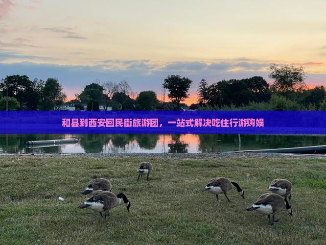 和县到西安回民街旅游团，一站式解决吃住行游购娱