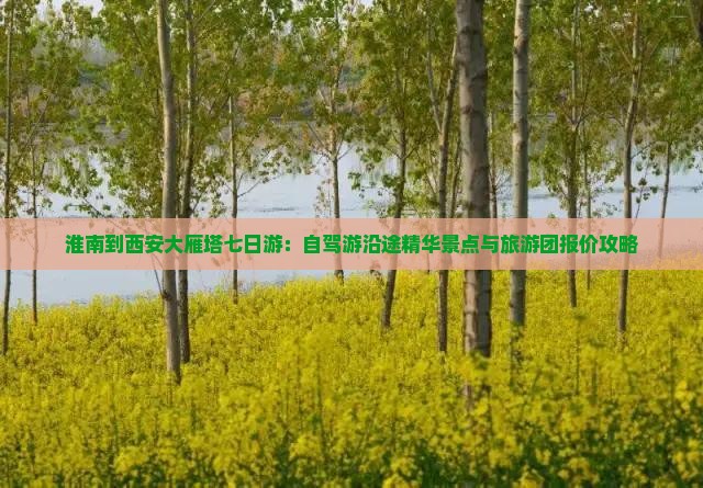 淮南到西安大雁塔七日游：自驾游沿途精华景点与旅游团报价攻略