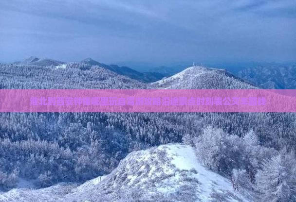 淮北到西安钟楼哪里玩自驾游攻略沿途景点时刻表公交车路线