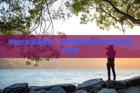 伊春出发探秘西安：大唐芙蓉园深度游攻略与自由行指南