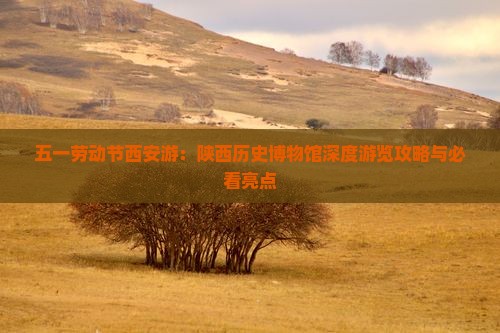 五一劳动节西安游：陕西历史博物馆深度游览攻略与必看亮点