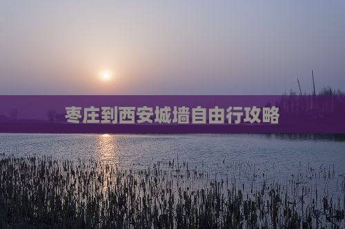 枣庄到西安城墙自由行攻略