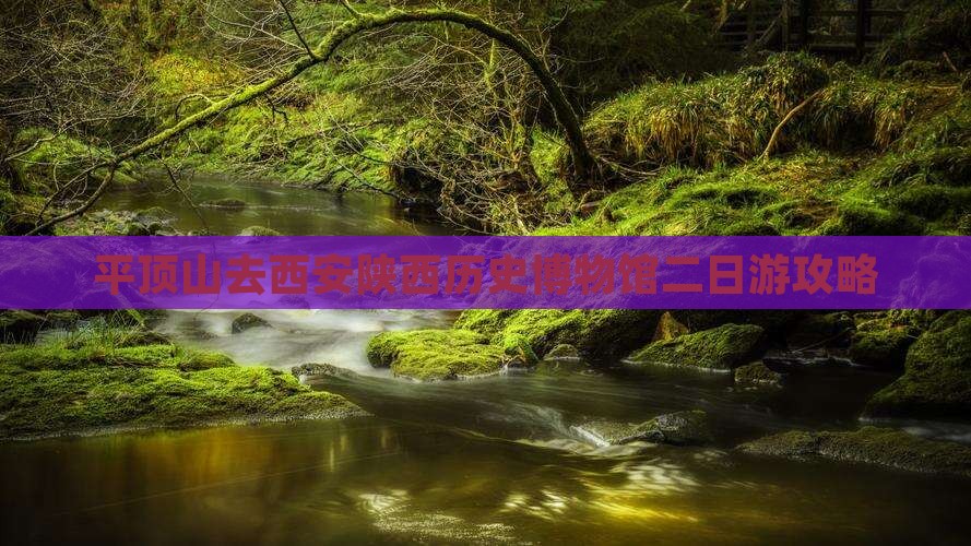 平顶山去西安陕西历史博物馆二日游攻略