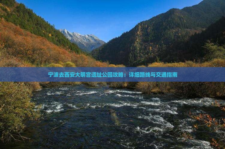 宁波去西安大明宫遗址公园攻略：详细路线与交通指南