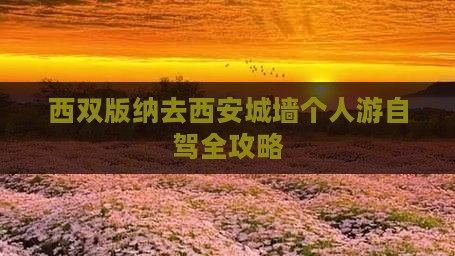 西双版纳去西安城墙个人游自驾全攻略