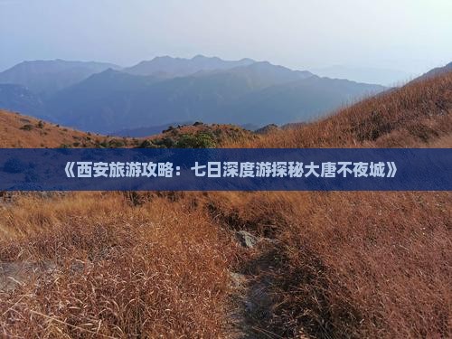 《西安旅游攻略：七日深度游探秘大唐不夜城》