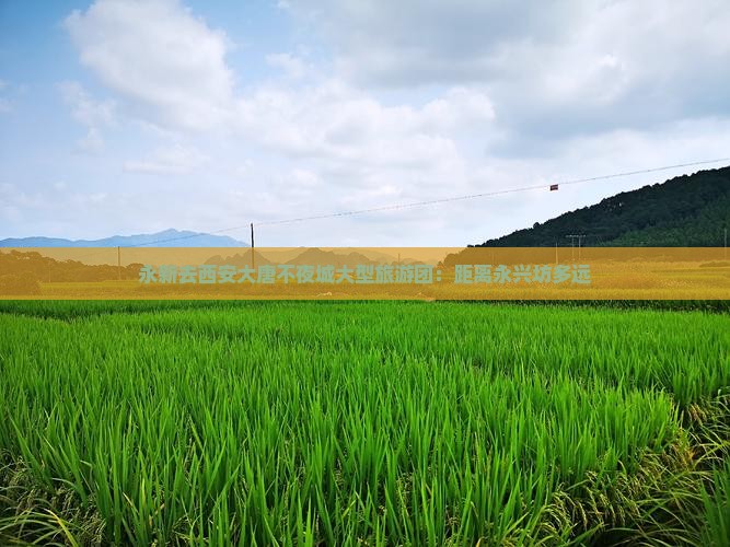 永新去西安大唐不夜城大型旅游团：距离永兴坊多远