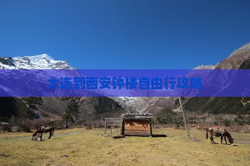 大连到西安钟楼自由行攻略