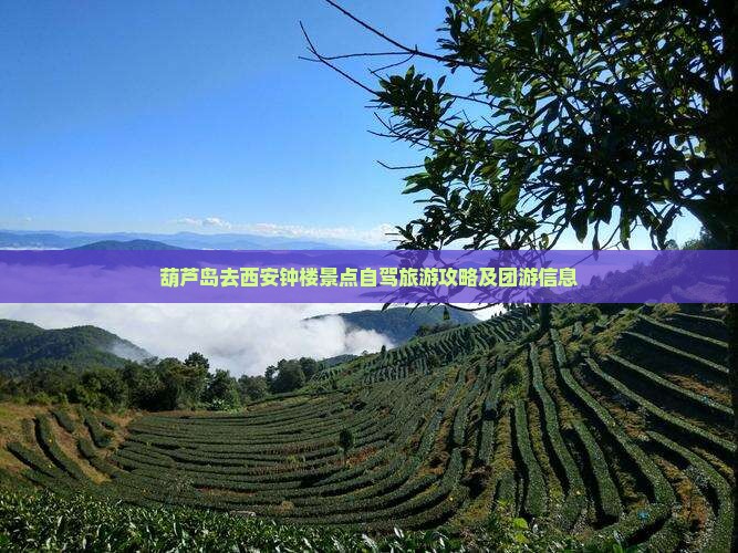 葫芦岛去西安钟楼景点自驾旅游攻略及团游信息