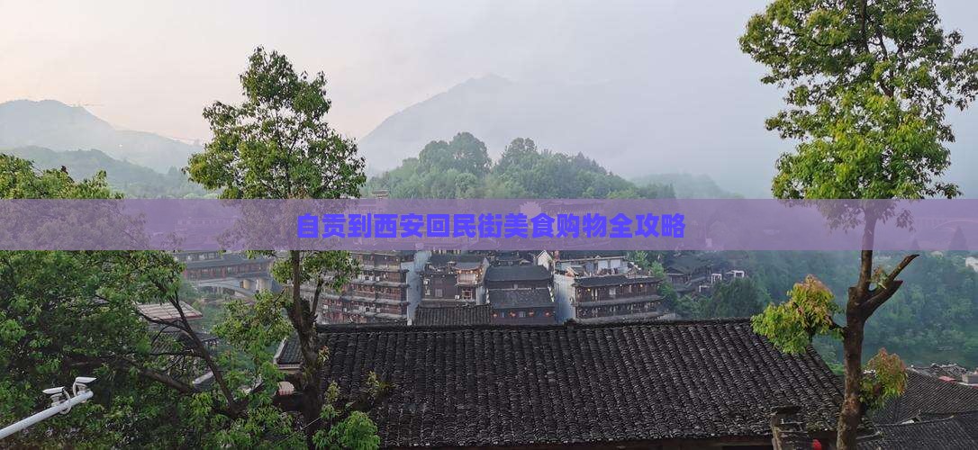 自贡到西安回民街美食购物全攻略