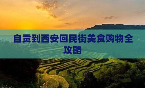 自贡到西安回民街美食购物全攻略