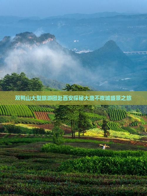 双鸭山大型旅游团赴西安探秘大唐不夜城盛景之旅