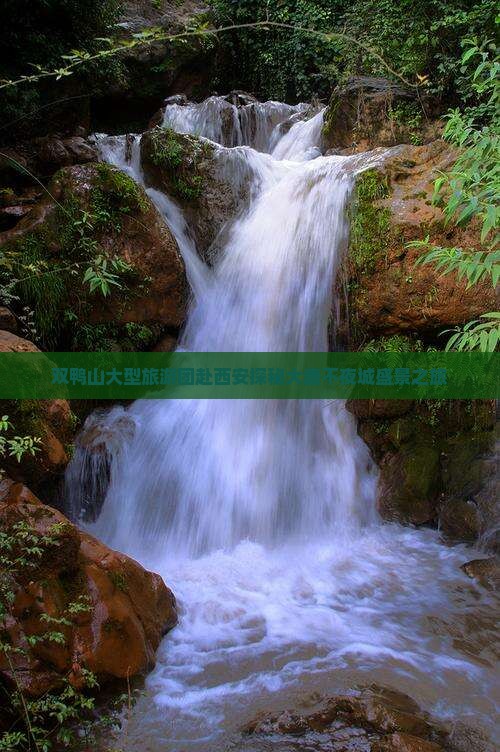 双鸭山大型旅游团赴西安探秘大唐不夜城盛景之旅