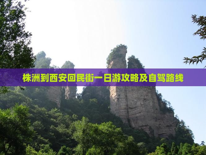 株洲到西安回民街一日游攻略及自驾路线
