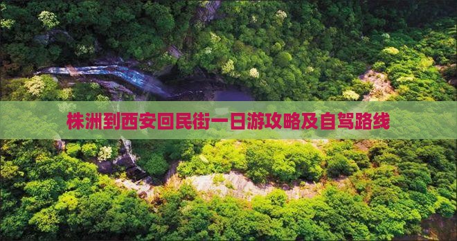 株洲到西安回民街一日游攻略及自驾路线
