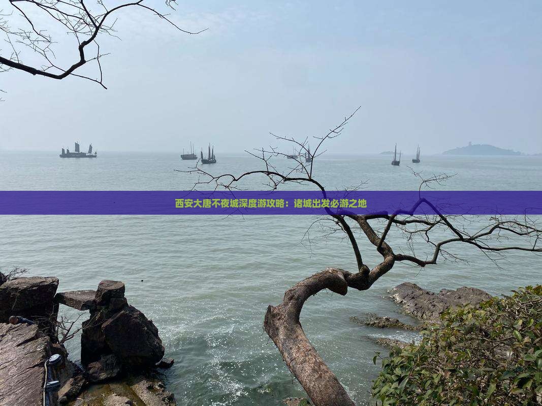 西安大唐不夜城深度游攻略：诸城出发必游之地