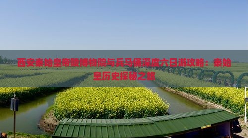 西安秦始皇帝陵博物院与兵马俑深度六日游攻略：秦始皇历史探秘之旅