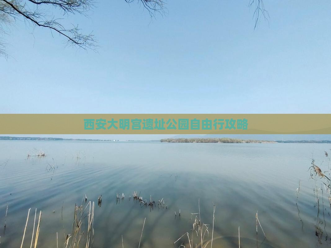 西安大明宫遗址公园自由行攻略