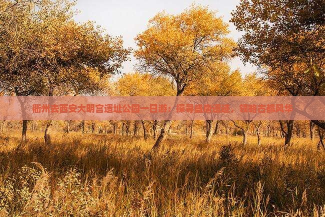 衢州去西安大明宫遗址公园一日游：探寻盛唐遗迹，领略古都风华