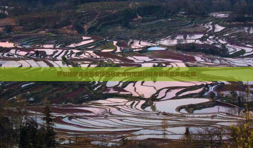 伊犁哈萨克去西安陕西历史博物馆旅行社考察历史文化之旅