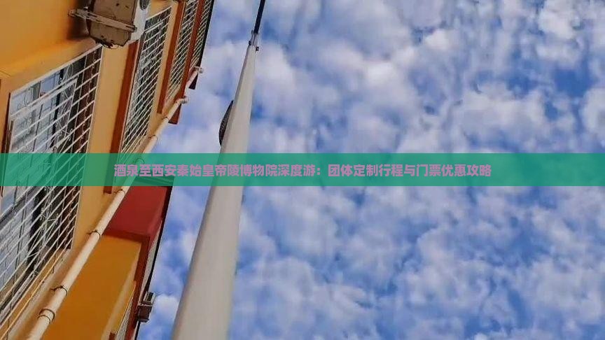 茶泉至西安秦始皇帝陵博物院深度游：团体定制行程与门票优惠攻略