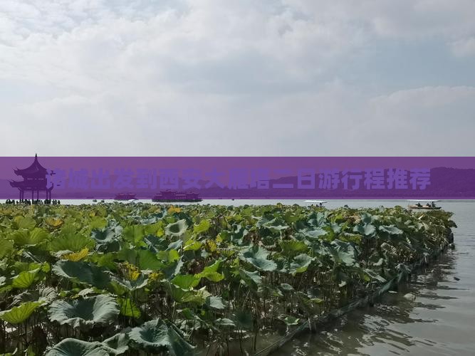 诸城出发到西安大雁塔二日游行程推荐