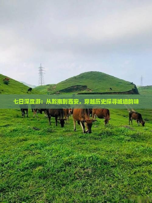 七日深度游：从黔南到西安，穿越历史探寻城墙韵味