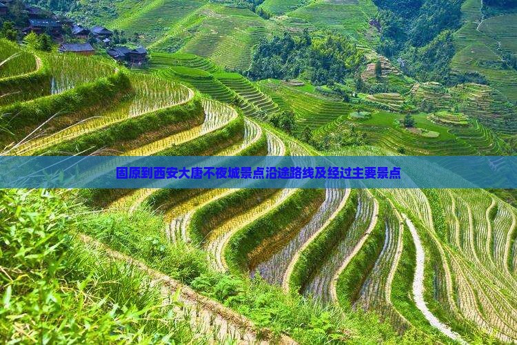 固原到西安大唐不夜城景点沿途路线及经过主要景点