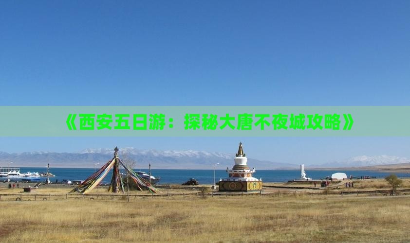《西安五日游：探秘大唐不夜城攻略》