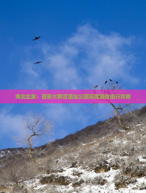 海北出发：西安大明宫遗址公园深度游自由行攻略