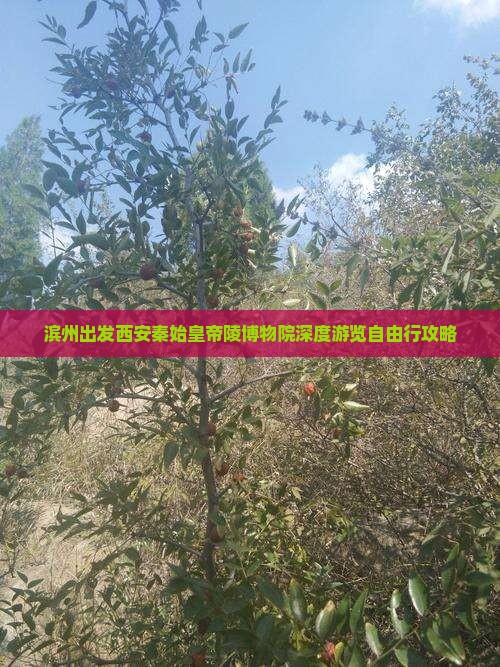 滨州出发西安秦始皇帝陵博物院深度游览自由行攻略