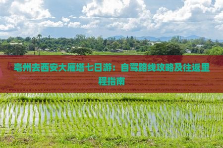 亳州去西安大雁塔七日游：自驾路线攻略及往返里程指南