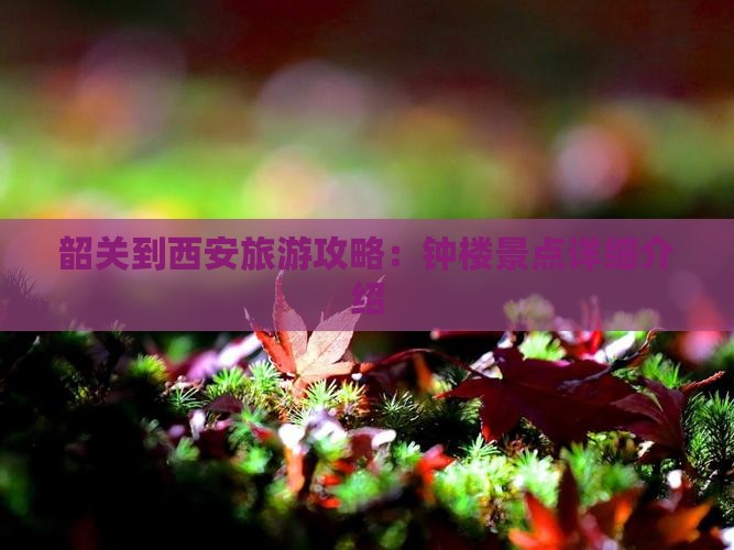 韶关到西安旅游攻略：钟楼景点详细介绍