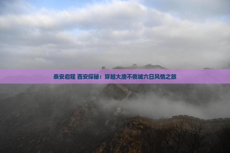 泰安启程 西安探秘：穿越大唐不夜城六日风情之旅