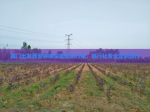 厦门出发西安钟楼深度旅游行程，旅行社专业定制旅行