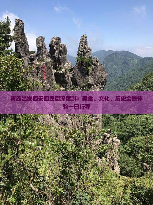 青岛出发西安回民街深度游：美食、文化、历史全景体验一日行程