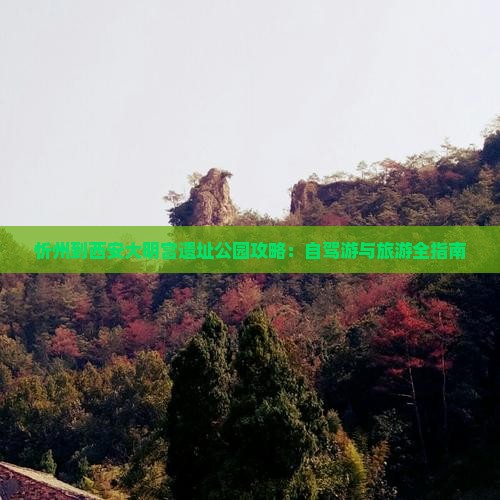 忻州到西安大明宫遗址公园攻略：自驾游与旅游全指南