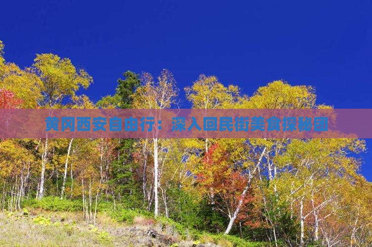 黄冈西安自由行：深入回民街美食探秘团